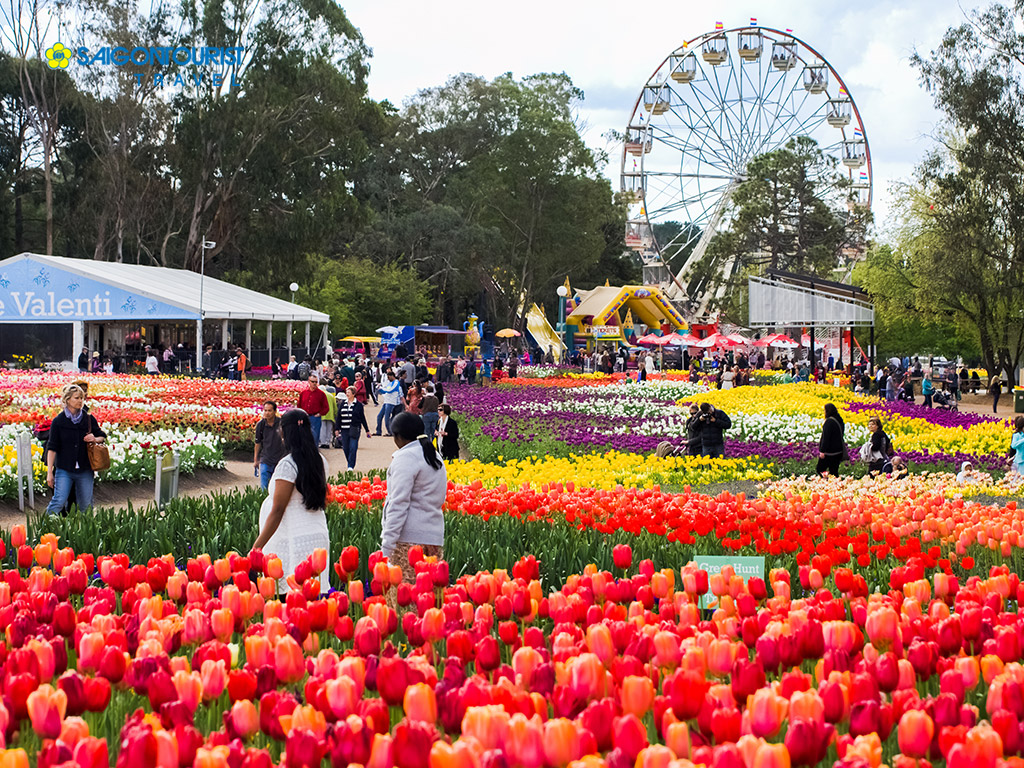 Mùa xuân tràn ngập màu sắc ở lễ hội hoa Floriade