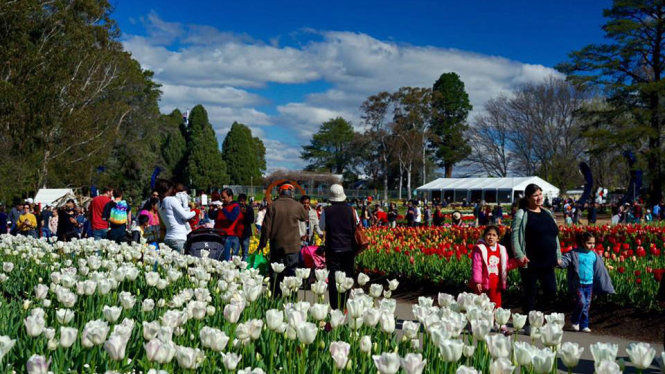 Muôn ngàn loài hoa khoe sắc lễ hội hoa Floriade ở Úc